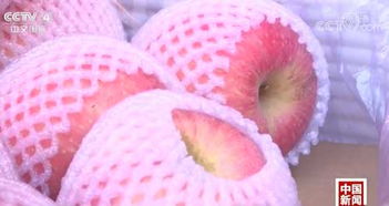 記者探秘 水果價格為何比肉貴？果市‘漲聲一片’背后真相解密